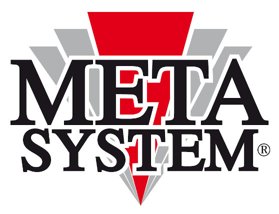 logo metasystem
